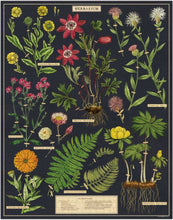 Load image into Gallery viewer, Herbarium Vintage Inspired 1000 Piece Puzzle
