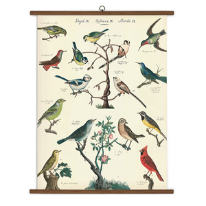 Birds School Chart Wall Hanging