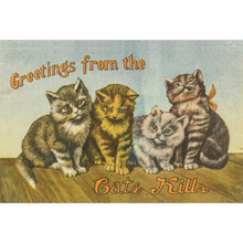 Load image into Gallery viewer, Postcard Greetings from the Catskills
