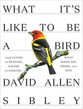 Load image into Gallery viewer, What It&#39;s Like To Be A Bird by David Allen Sibley
