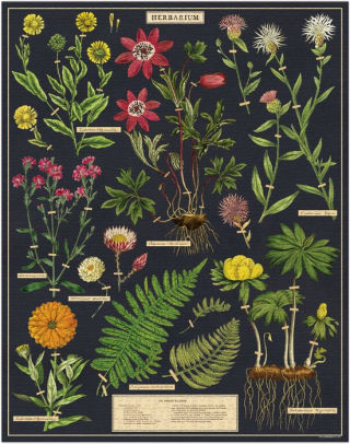 Herbarium Vintage Inspired 1000 Piece Puzzle