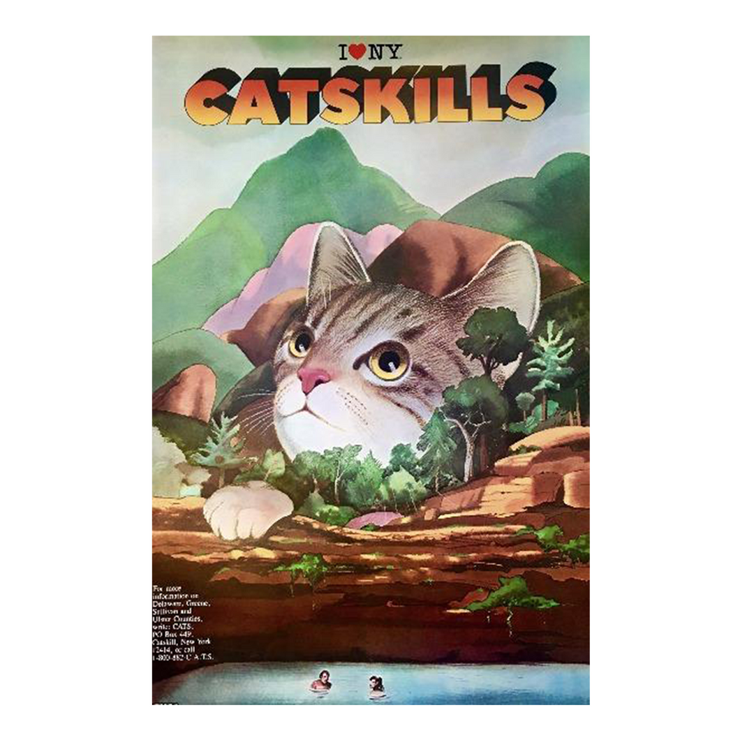 Original 1985 Catskills I Love NY Poster