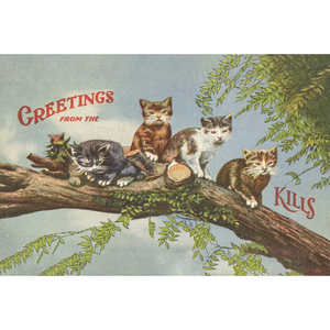 Postcard Greetings from the Catskills (Tree)